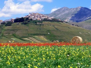 castelluccio-di-norcia